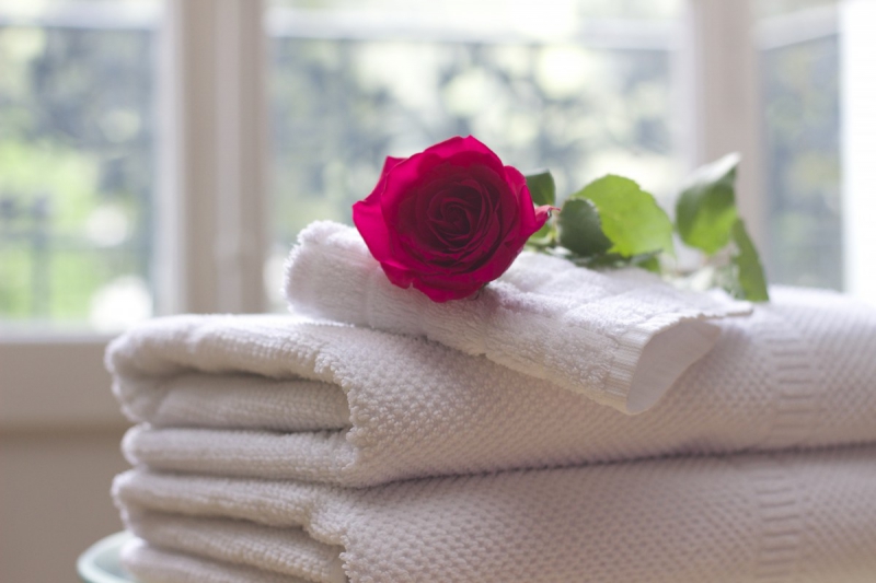 chambre-hote-CAVALAIRE SUR MER-min_towel_rose_clean_care_salon_spa_white_bath-731641